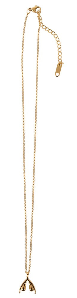 Kette gold klitoris